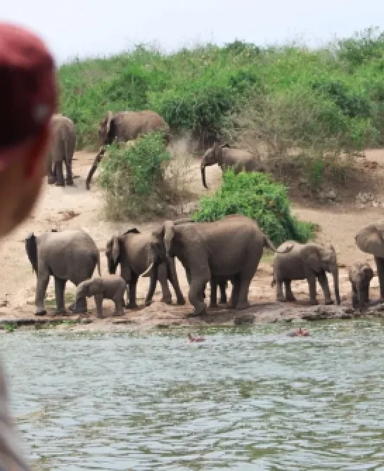 Uganda – Perla Africii: de ce este o destinație încă nedescoperită?