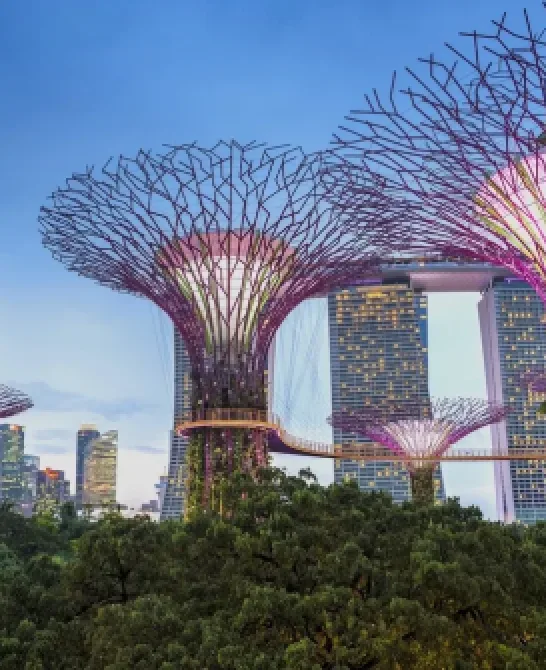Top 10 experiențe unice pe care să le încerci într-un circuit în Singapore