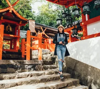 Top 5 momente ale anului pentru un circuit în Japonia: avantaje și dezavantaje