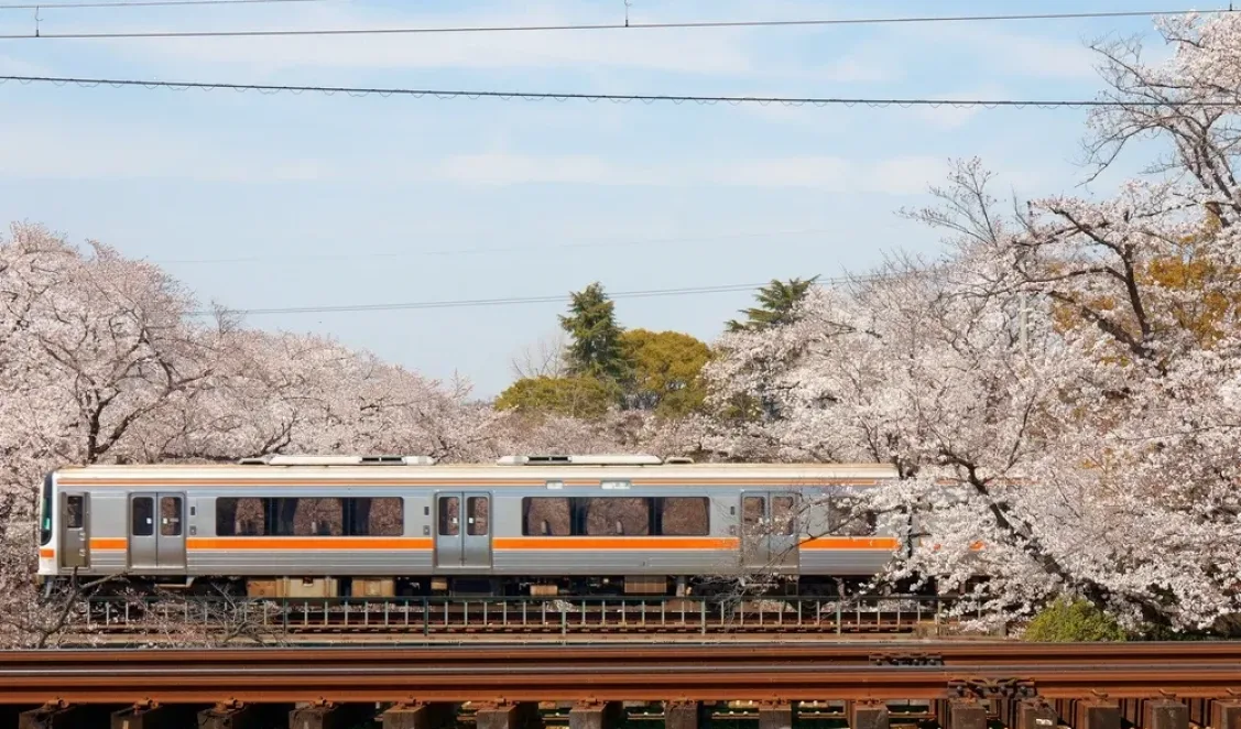 Japan Rail Pass în 2026: cum îl folosești inteligent într-un circuit în Japonia