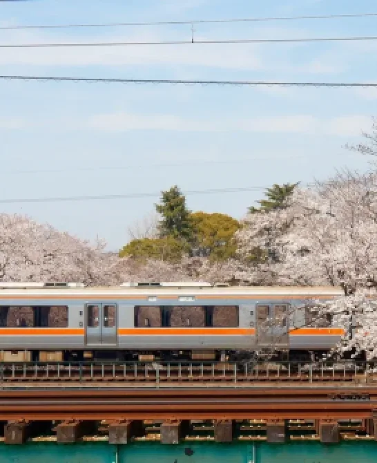 Japan Rail Pass în 2026: cum îl folosești inteligent într-un circuit în Japonia