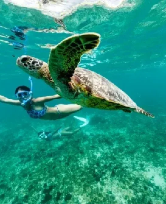 Okinawa: tropice japoneze