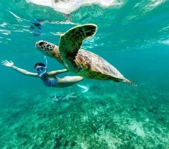 Okinawa: tropice japoneze