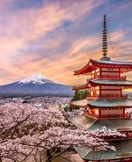 JAPONIA: DESCHISĂ ȘI PREGĂTITĂ PENTRU TURISM