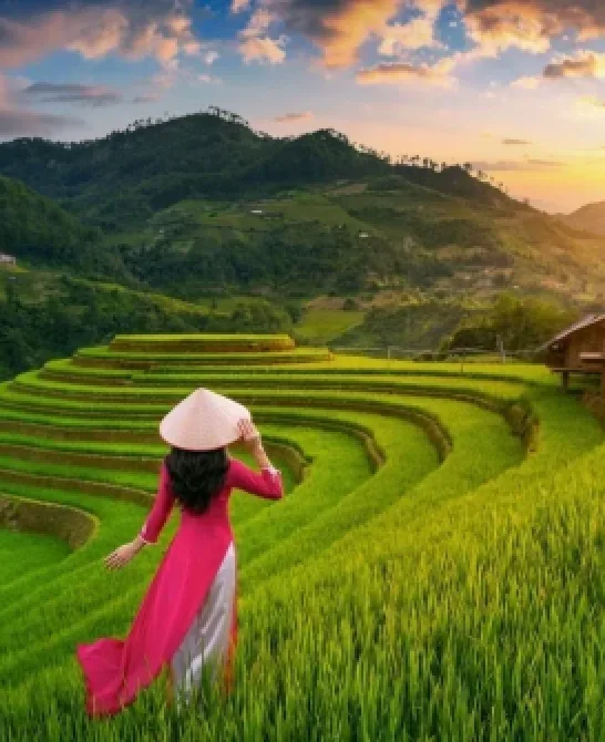 Cum să planifici o vacanță de vis în Vietnam: sfaturi și trucuri utile