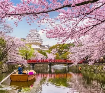5 motive pentru care să mergi într-o excursie în Japonia în timpul florilor de cireș
